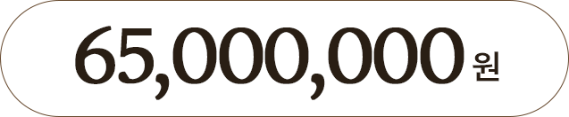 65,000,000원